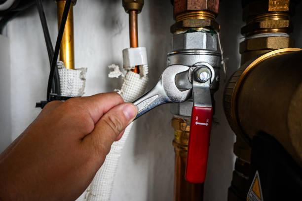 Best Affordable Plumber Near Me  in Marine, IL